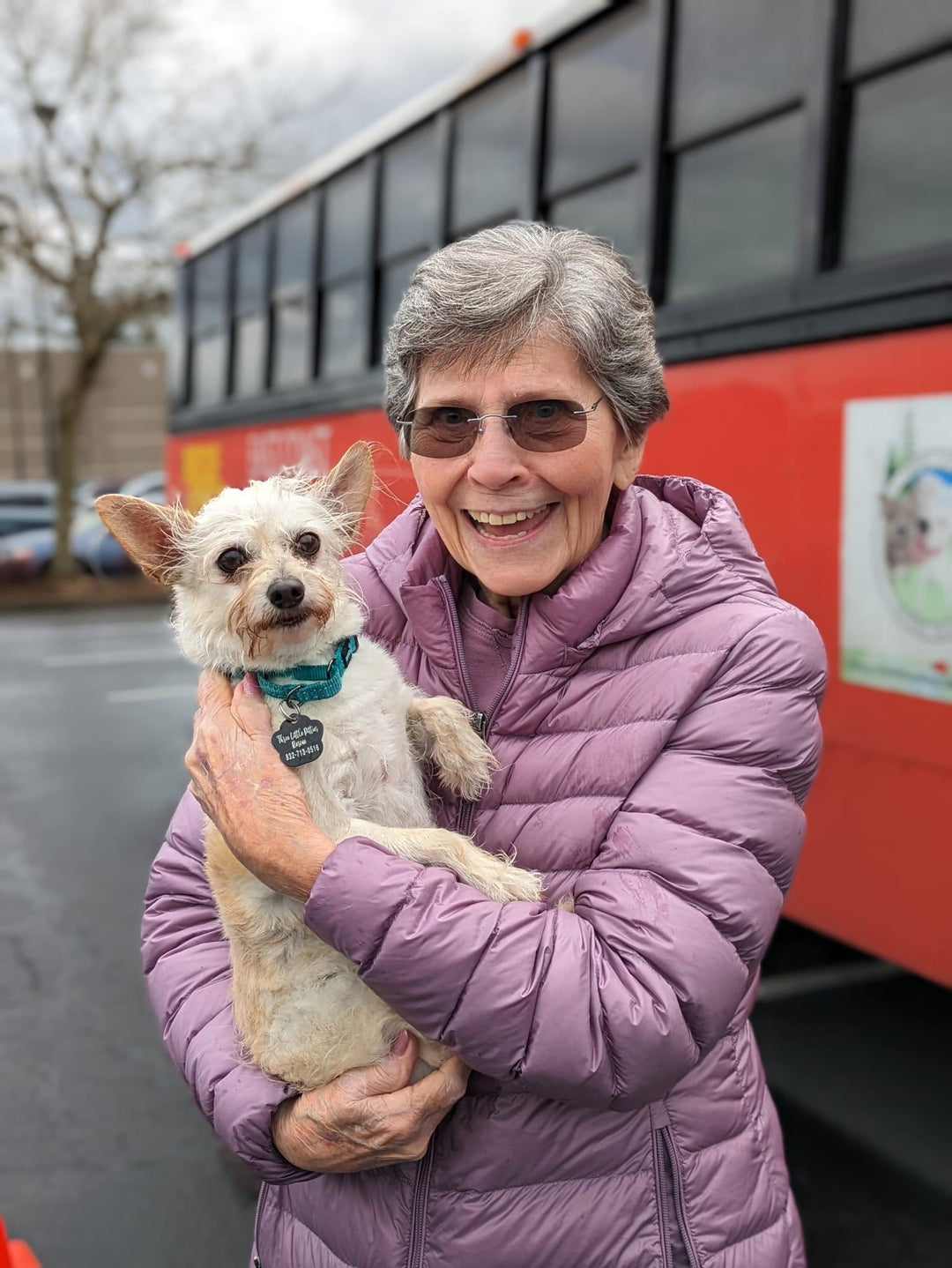 A rescue dog ready for adoption